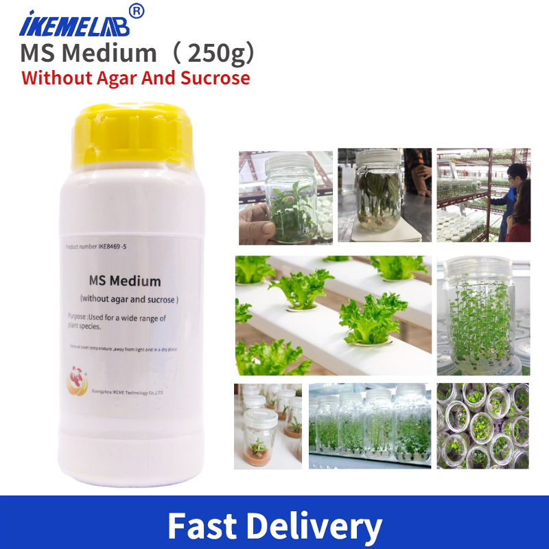 Agar Tissue Culture - IKEME Lab MS Medium 250g Sans