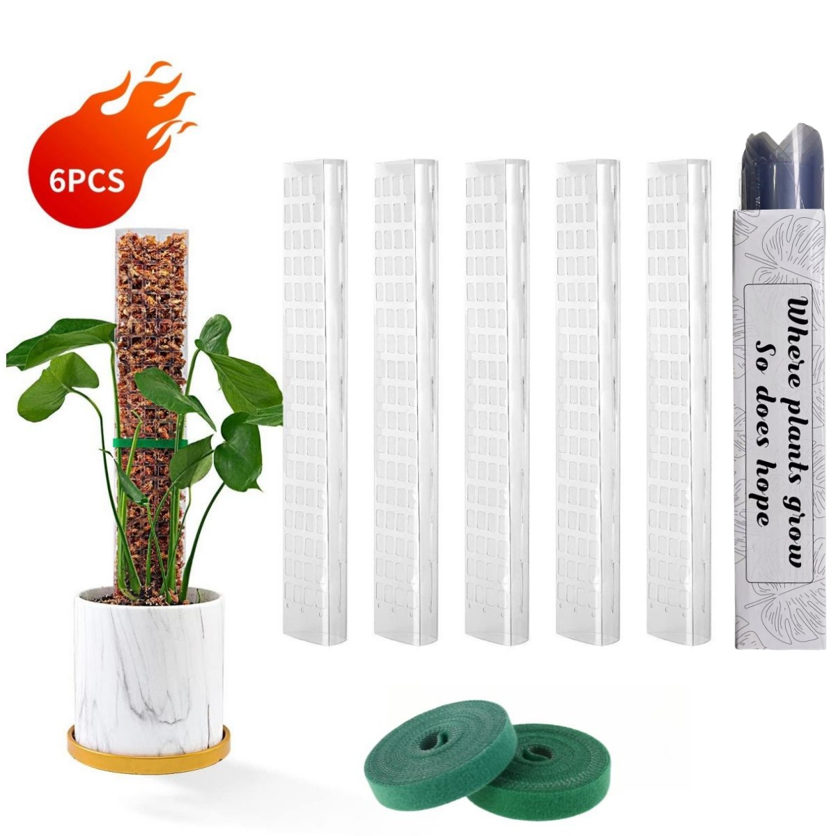 Poteaux de mousse plantes Supp - Sphagnum Moss Dry avis et prix