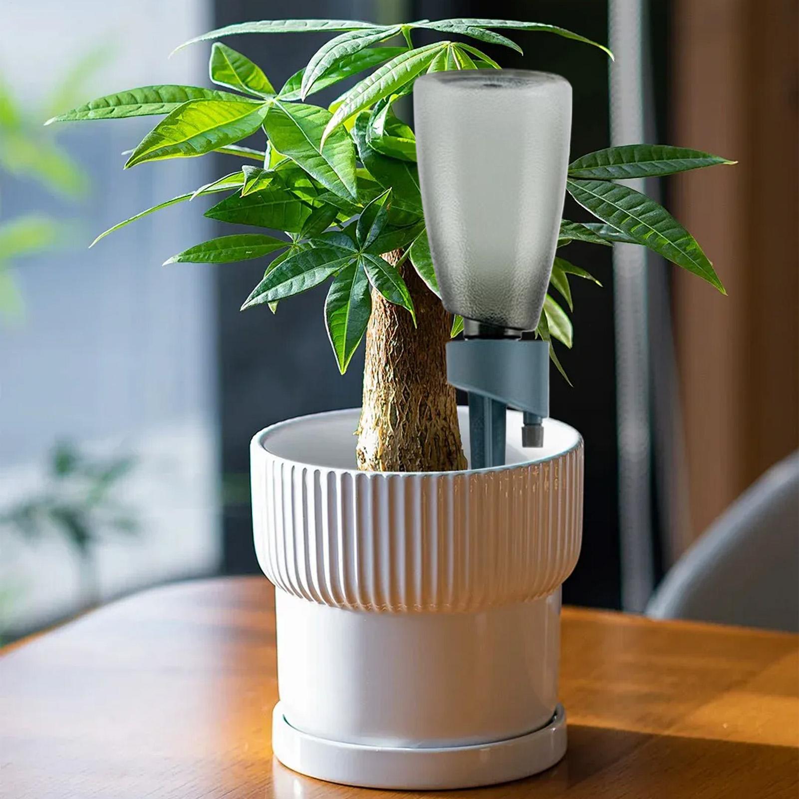 6 pièces - Arroseur automatiqu - Self Watering Insert avis et prix