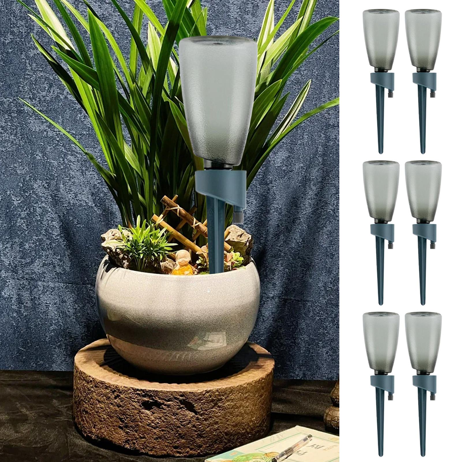 6 pièces - Arroseur automatiqu - Self Watering Insert avis et prix