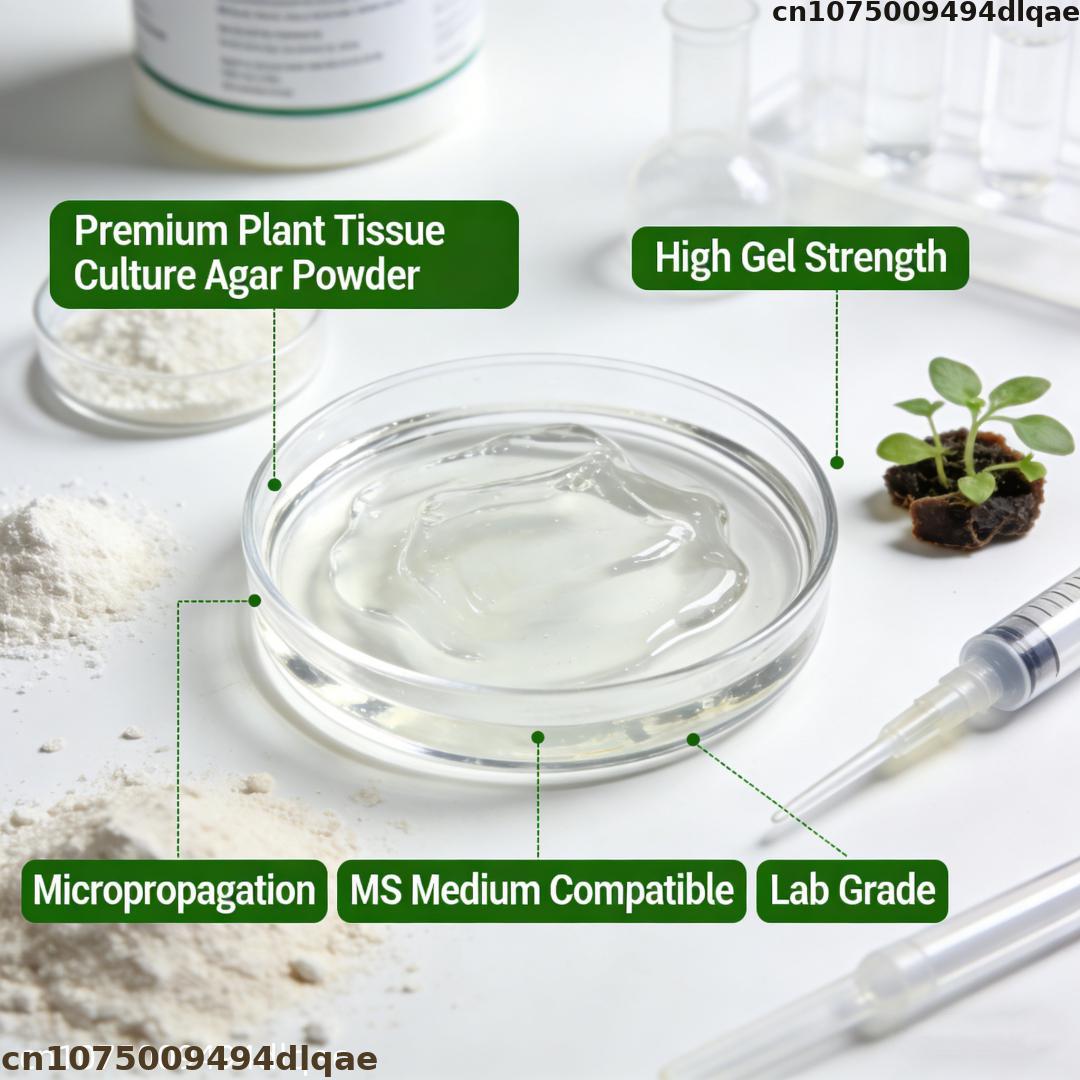 Poudre d'Agar pour Culture de  - Agar Tissue Culture avis et prix