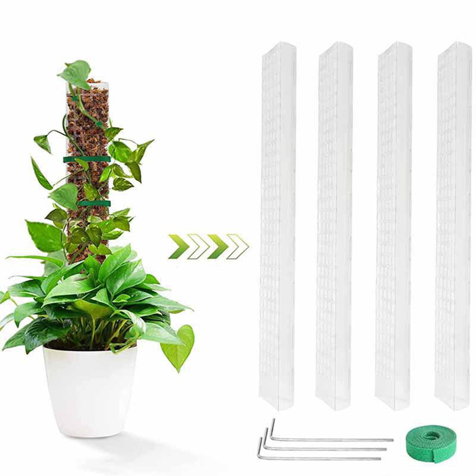 Poteau en mousse et feuilles p - Sphagnum Moss Dry avis et prix