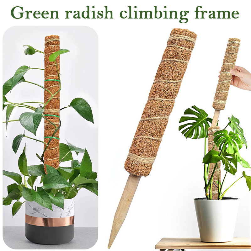 Poteau Totem en coco pour plan - Sphagnum Moss Dry avis et prix
