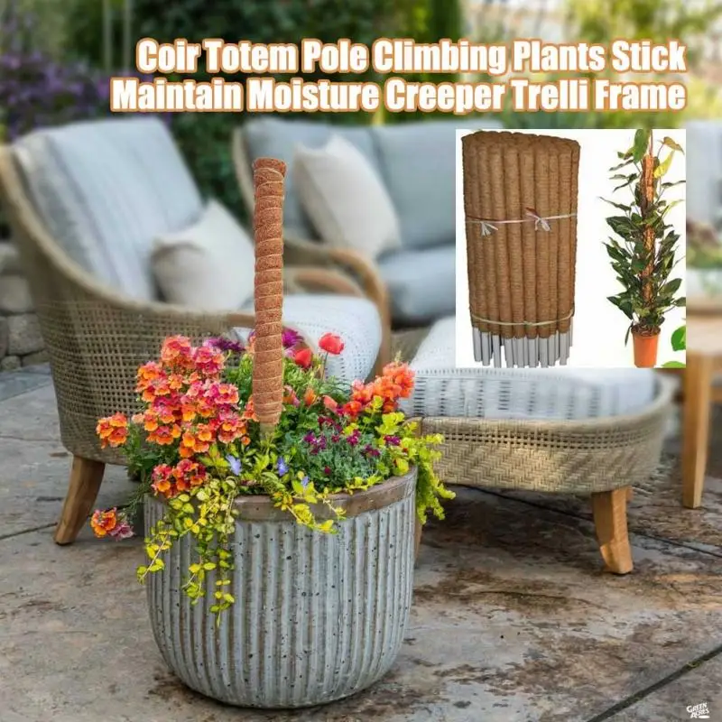 Poteau Totem en coco pour plan - Sphagnum Moss Dry avis et prix