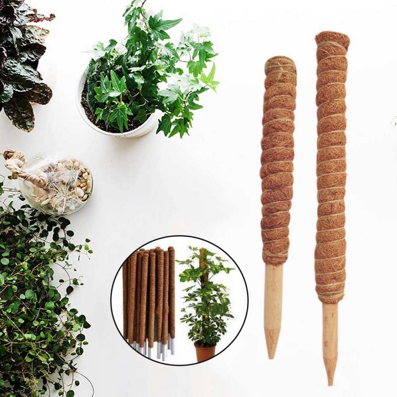 Poteau Totem en coco pour plan - Sphagnum Moss Dry avis et prix