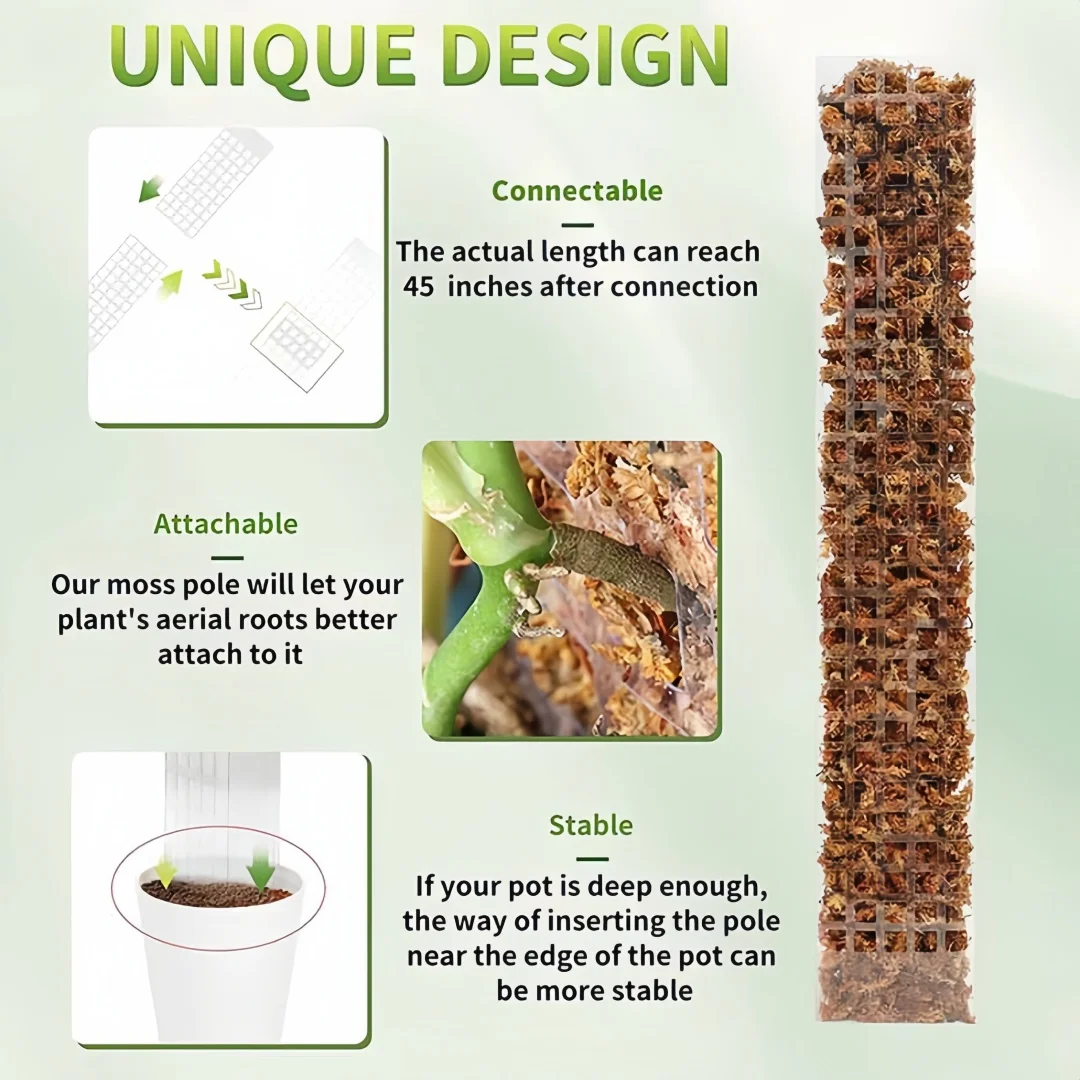 Poteaux de mousse transparents - Sphagnum Moss Dry avis et prix