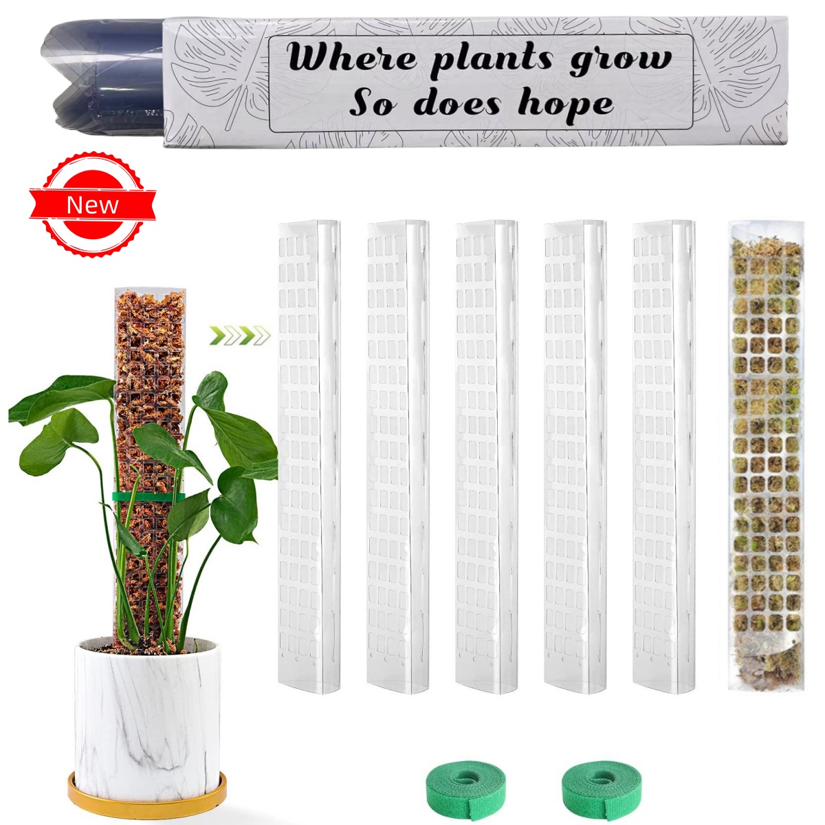 Plantes mousse pôle jardin suj - Sphagnum Moss Dry avis et prix