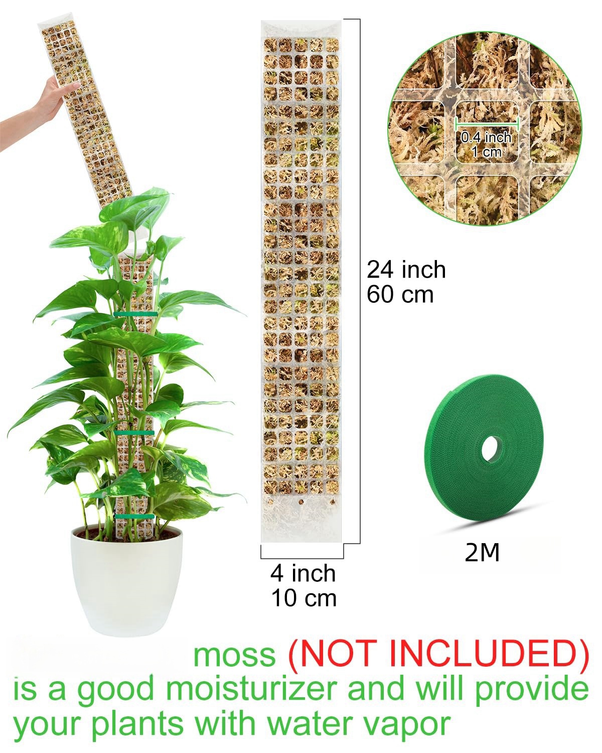 Plantes mousse pôle jardin suj - Sphagnum Moss Dry avis et prix